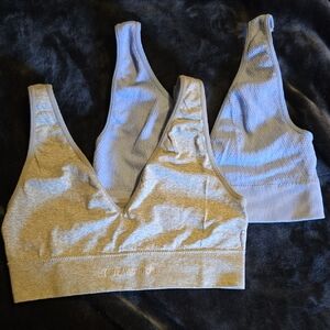 Steve Madden Light Gray and Blue Sports Bra Set